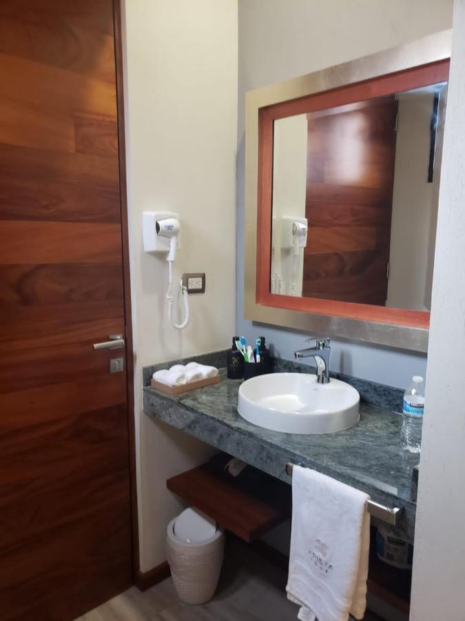 Hotel Arista 1026 San Luis Potosi Bagian luar foto